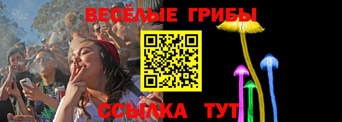 Галлюциногенные грибы Psilocybe  Вход с VPN  Галлюциногенные грибы прущие грибы  Кушва 