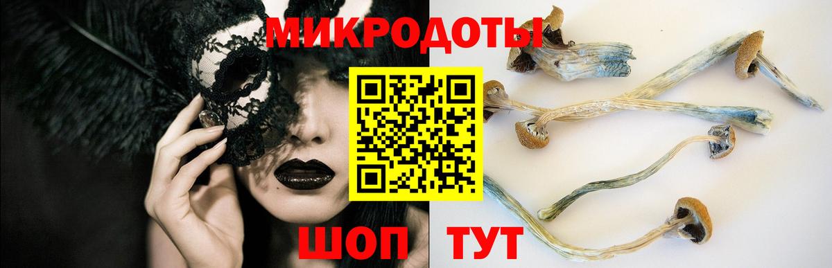 Галлюциногенные грибы мухоморы Кушва